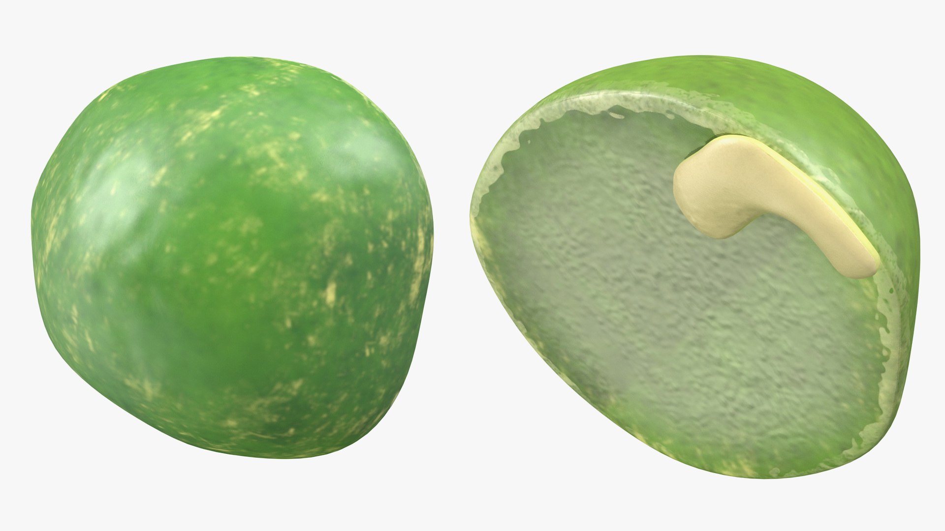 3D pile split pea https://p.turbosquid.com/ts-thumb/f8/hTneln/qLXycOMN/pileofsplitpeamb3dmodel013/jpg/1588278328/1920x1080/fit_q87/8130fe20caa215b88af1b53c00c35699d6777774/pileofsplitpeamb3dmodel013.jpg