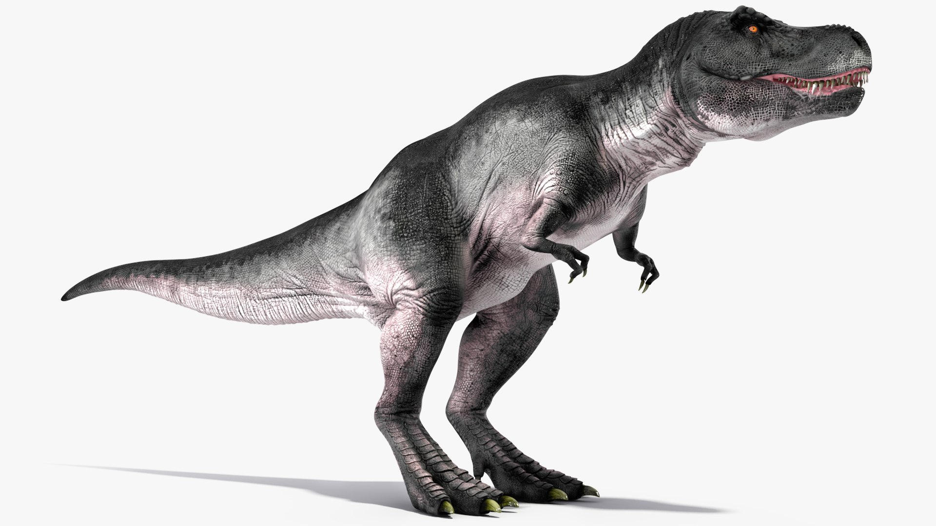 T Rex Idle Animated Rigged 3D model https://p.turbosquid.com/ts-thumb/f8/ulQ4C1/1L/trexidleanimatedriggedvray3dmodel010/jpg/1690508069/1920x1080/fit_q87/4b82339f0f6f7e76cf33b043738b5dfe8aed6fbe/trexidleanimatedriggedvray3dmodel010.jpg