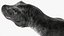 T Rex Idle animiert manipuliert