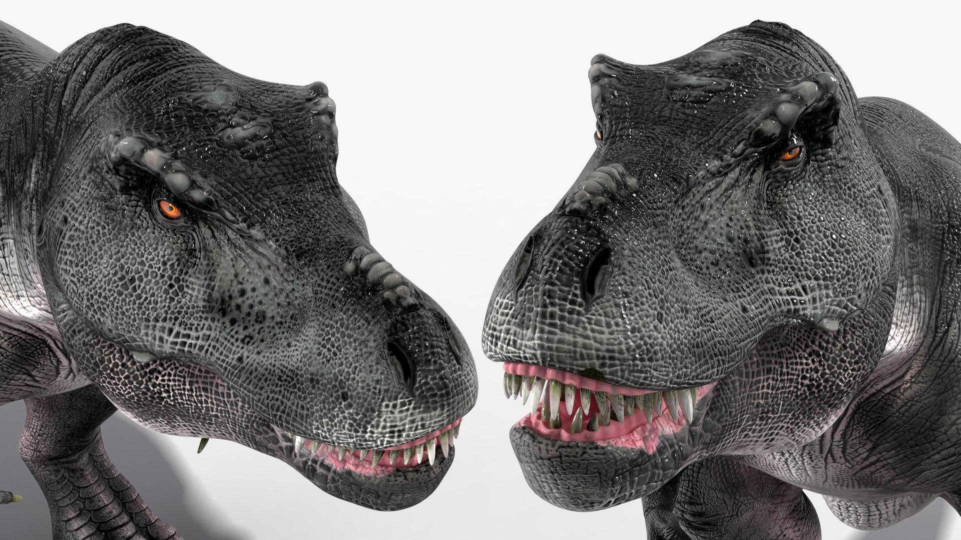 T Rex Idle Animated Rigged 3D model https://p.turbosquid.com/ts-thumb/f8/ulQ4C1/DC/trexidleanimatedriggedvray3dmodel023/jpg/1690508124/1920x1080/fit_q87/6d42cbd652bc226af88e6eca5ba7b1b5c69fc553/trexidleanimatedriggedvray3dmodel023.jpg