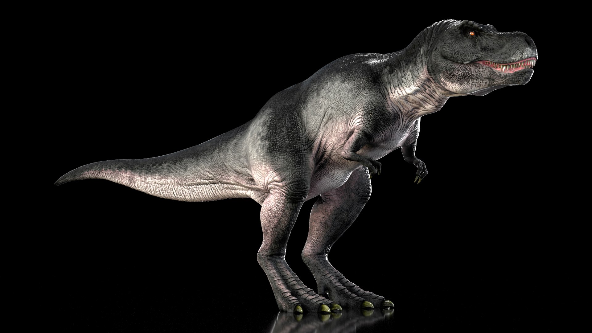 T Rex Idle Animated Rigged 3D model https://p.turbosquid.com/ts-thumb/f8/ulQ4C1/UM/trexidleanimatedriggedvray3dmodel008/jpg/1690508061/1920x1080/fit_q87/3bd56d2746e9b96639942322d824c3a881f0246b/trexidleanimatedriggedvray3dmodel008.jpg