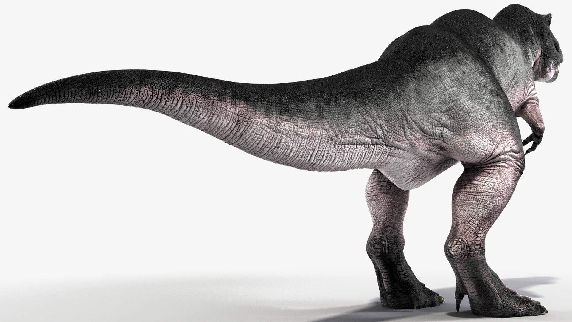 T Rex Idle Animated Rigged 3D model https://p.turbosquid.com/ts-thumb/f8/ulQ4C1/ZP/trexidleanimatedriggedvray3dmodel011/jpg/1690508073/1920x1080/fit_q87/5e7970b661a23c2042c2f40b6b52e0b75ee9fee5/trexidleanimatedriggedvray3dmodel011.jpg