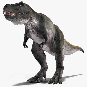T Rex Idle Animated Rigged