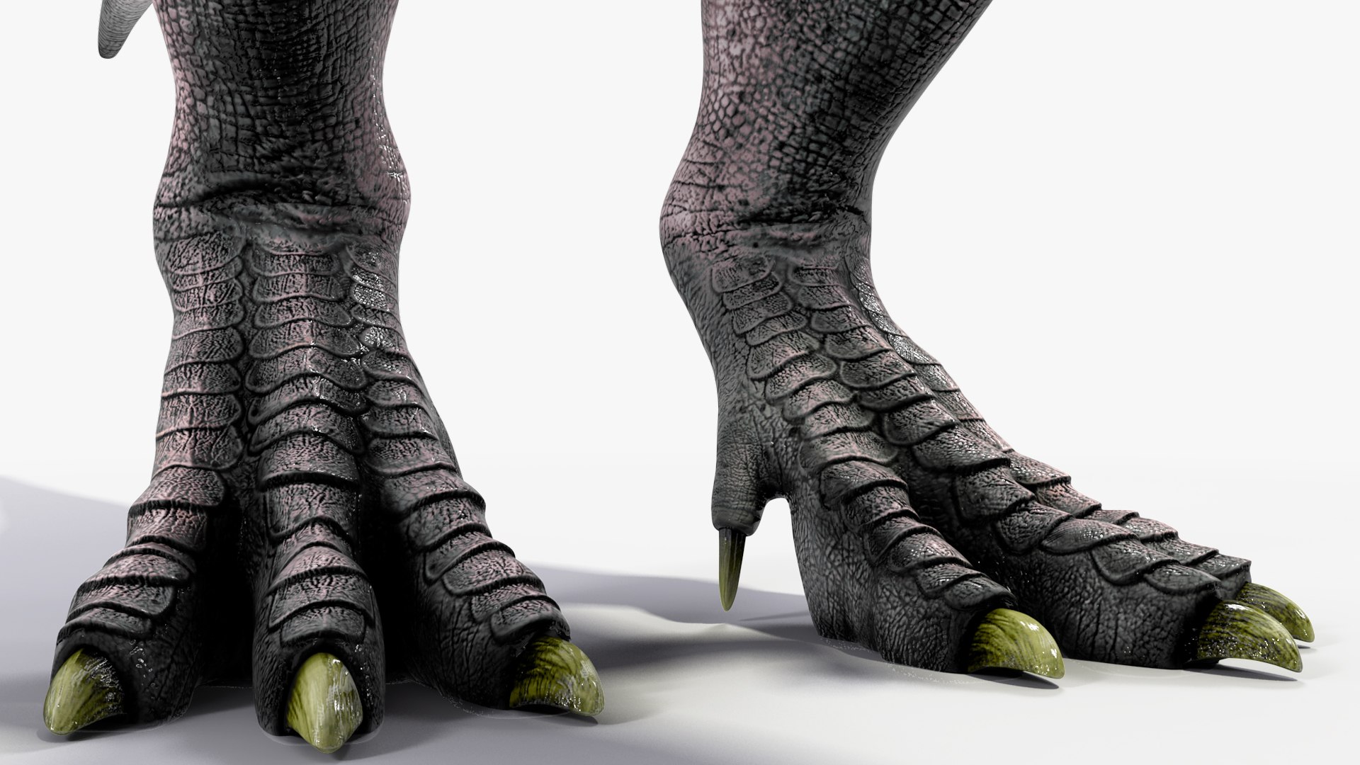 T Rex Idle Animated Rigged 3D model https://p.turbosquid.com/ts-thumb/f8/ulQ4C1/kq/trexidleanimatedriggedvray3dmodel025/jpg/1690508133/1920x1080/fit_q87/06c9b2f7e7cfd2b4cf38371208f259b8afe31947/trexidleanimatedriggedvray3dmodel025.jpg