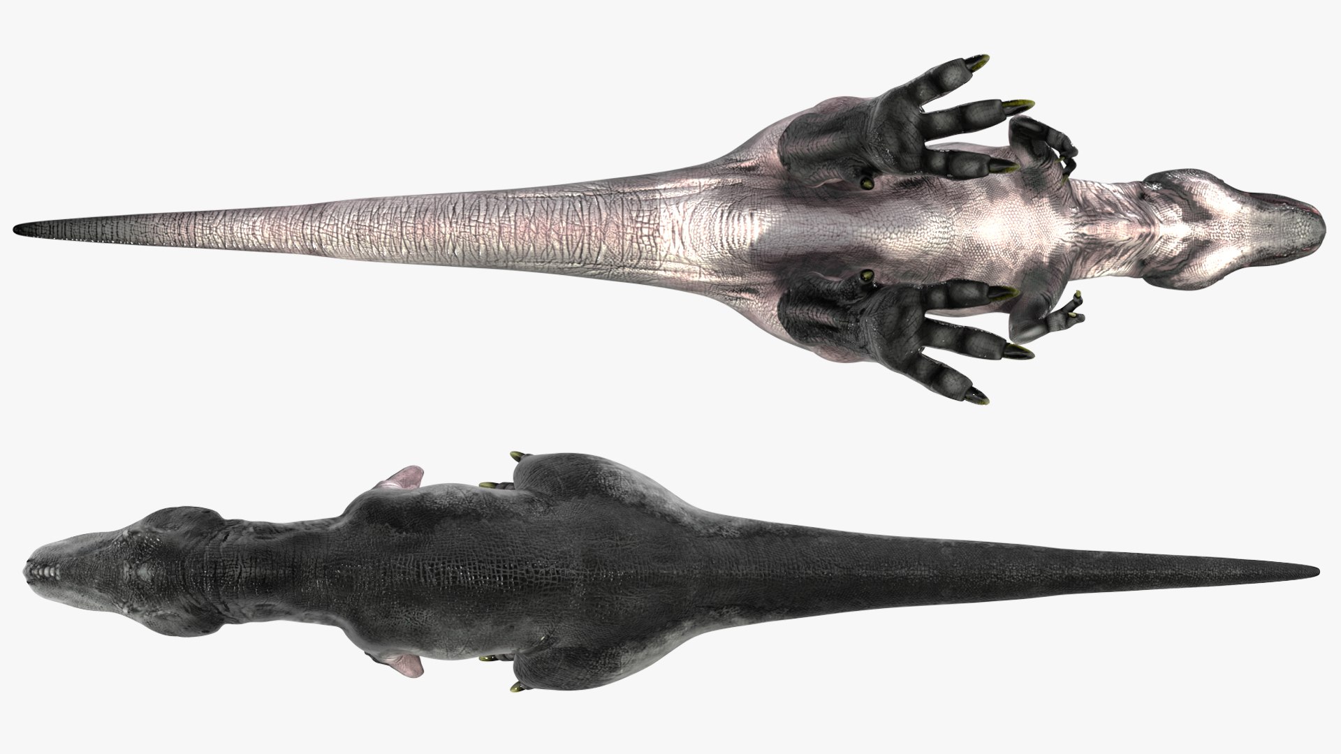 T Rex Idle Animated Rigged 3D model https://p.turbosquid.com/ts-thumb/f8/ulQ4C1/nw/trexidleanimatedriggedvray3dmodel016/jpg/1690508093/1920x1080/fit_q87/106f6b19dacfdcec4c5c179c18c789a80fced476/trexidleanimatedriggedvray3dmodel016.jpg