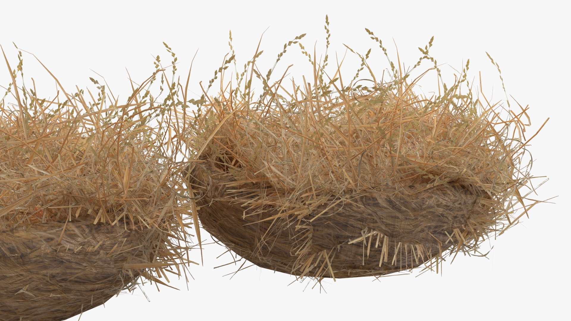 Chicken Nesting Boxes Collection 3D https://p.turbosquid.com/ts-thumb/f9/2nApT7/B2/chickennestingboxescollection3dmodel018/jpg/1688632874/1920x1080/fit_q87/5ec7e43a60c35d51e2aea3fa4c311e6214b6d33c/chickennestingboxescollection3dmodel018.jpg