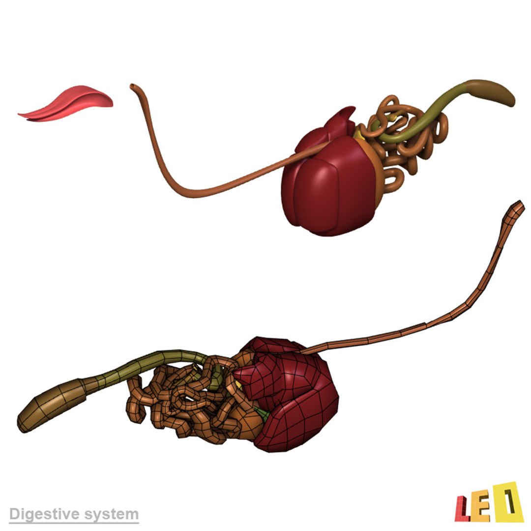 dog anatomy dalmatian 3ds https://p.turbosquid.com/ts-thumb/f9/7MEuZe/PovqkZOv/dog_anatomy_leo3dmodels_18/jpg/1359715572/1920x1080/fit_q87/83b5fc5ea8e1e4c95819e1ce4755b659c1a5bd13/dog_anatomy_leo3dmodels_18.jpg