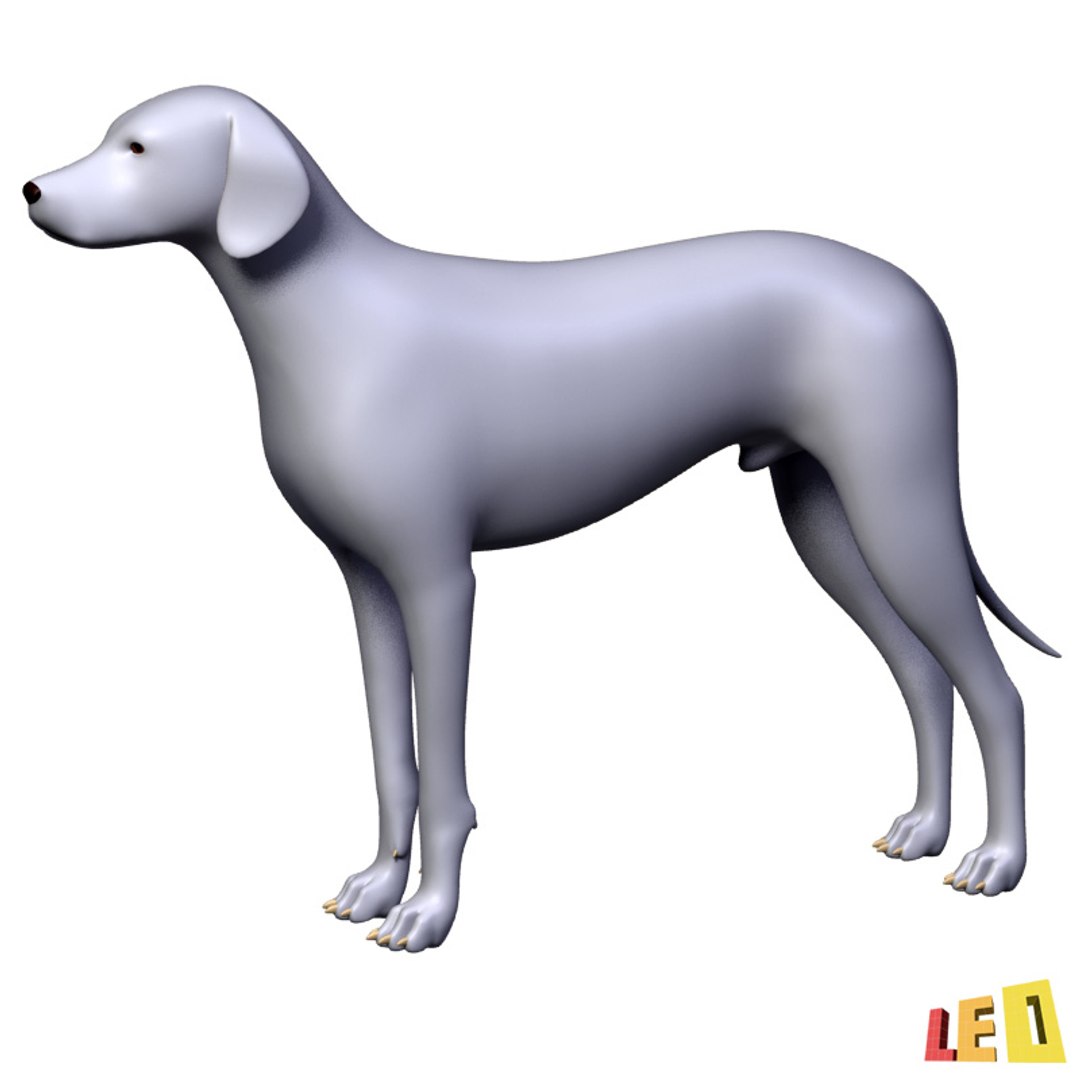 dog anatomy dalmatian 3ds https://p.turbosquid.com/ts-thumb/f9/7MEuZe/aR6dPhWO/dog_anatomy_leo3dmodels_02/jpg/1359715572/1920x1080/fit_q87/5e4a9b2497065bc3d92efb6b39a051c507a94ad3/dog_anatomy_leo3dmodels_02.jpg