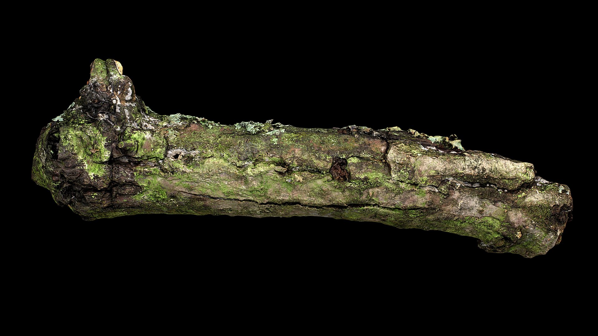 branch broken part tree photogrammetry FREE 3D model https://p.turbosquid.com/ts-thumb/f9/7uxiSv/2r/turbo3/jpg/1721224502/1920x1080/fit_q87/e9c2e2beb080a101009b0d8c9b063a1905cee392/turbo3.jpg