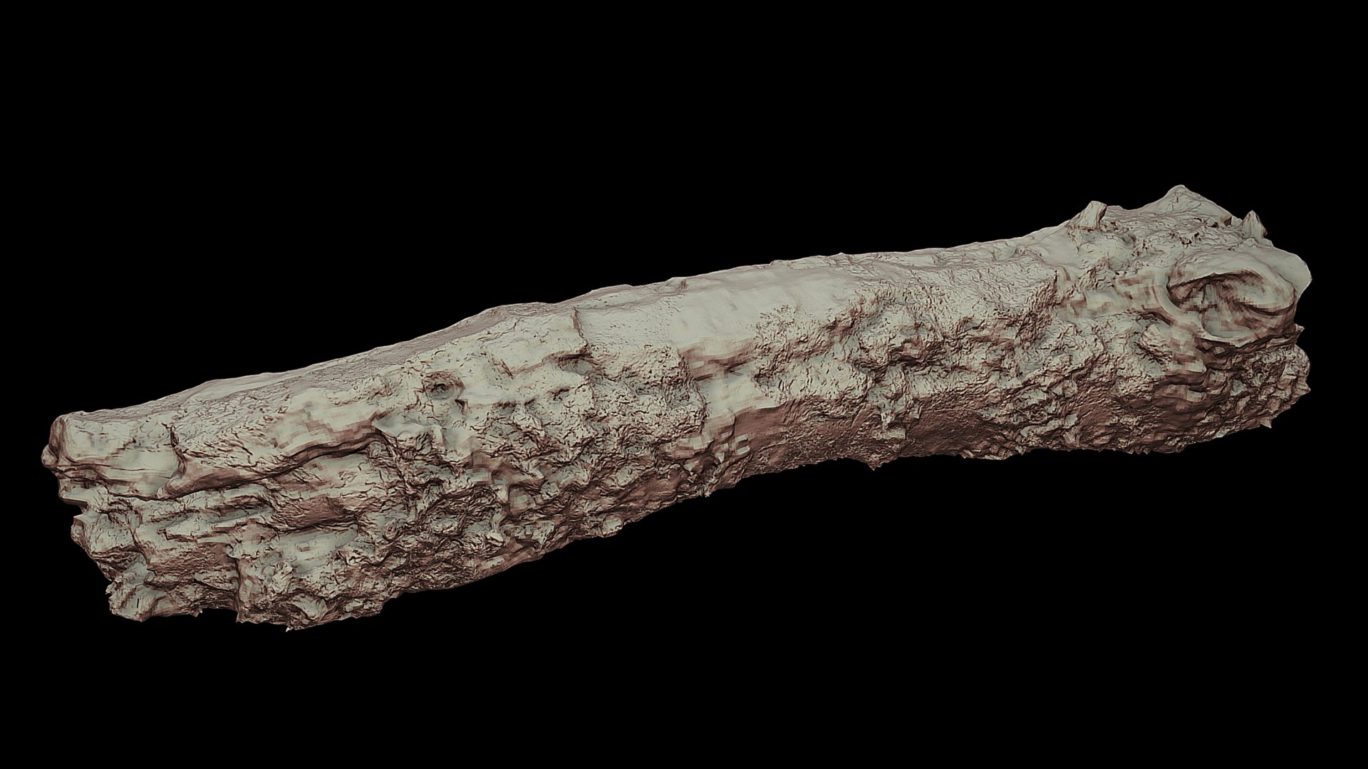branch broken part tree photogrammetry FREE 3D model https://p.turbosquid.com/ts-thumb/f9/7uxiSv/4B/turbo5/jpg/1721224502/1920x1080/fit_q87/fe095f159d59285f418b695c77a5193f63477d6d/turbo5.jpg