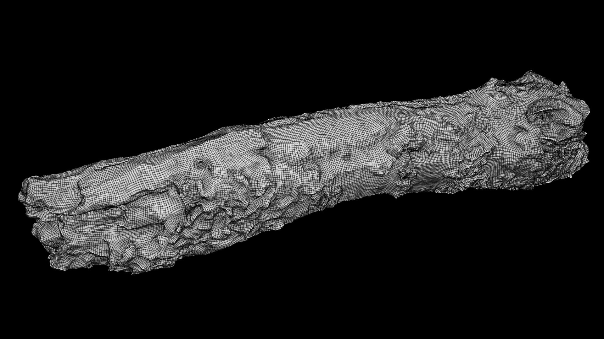 branch broken part tree photogrammetry FREE 3D model https://p.turbosquid.com/ts-thumb/f9/7uxiSv/4G/wireframe/jpg/1721224503/1920x1080/fit_q87/b1f453ca37441abc781f2f7a3add221b8cca0489/wireframe.jpg