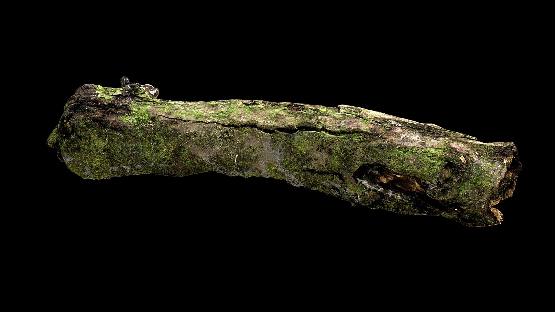 branch broken part tree photogrammetry FREE 3D model https://p.turbosquid.com/ts-thumb/f9/7uxiSv/js/turbo2/jpg/1721224501/1920x1080/fit_q87/1054af3fd121d9f4ca1951493f75069a44307068/turbo2.jpg