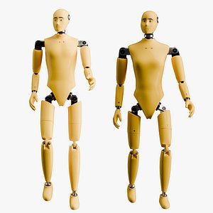 3D Rigged Crash Test Male and Female Mannequin model