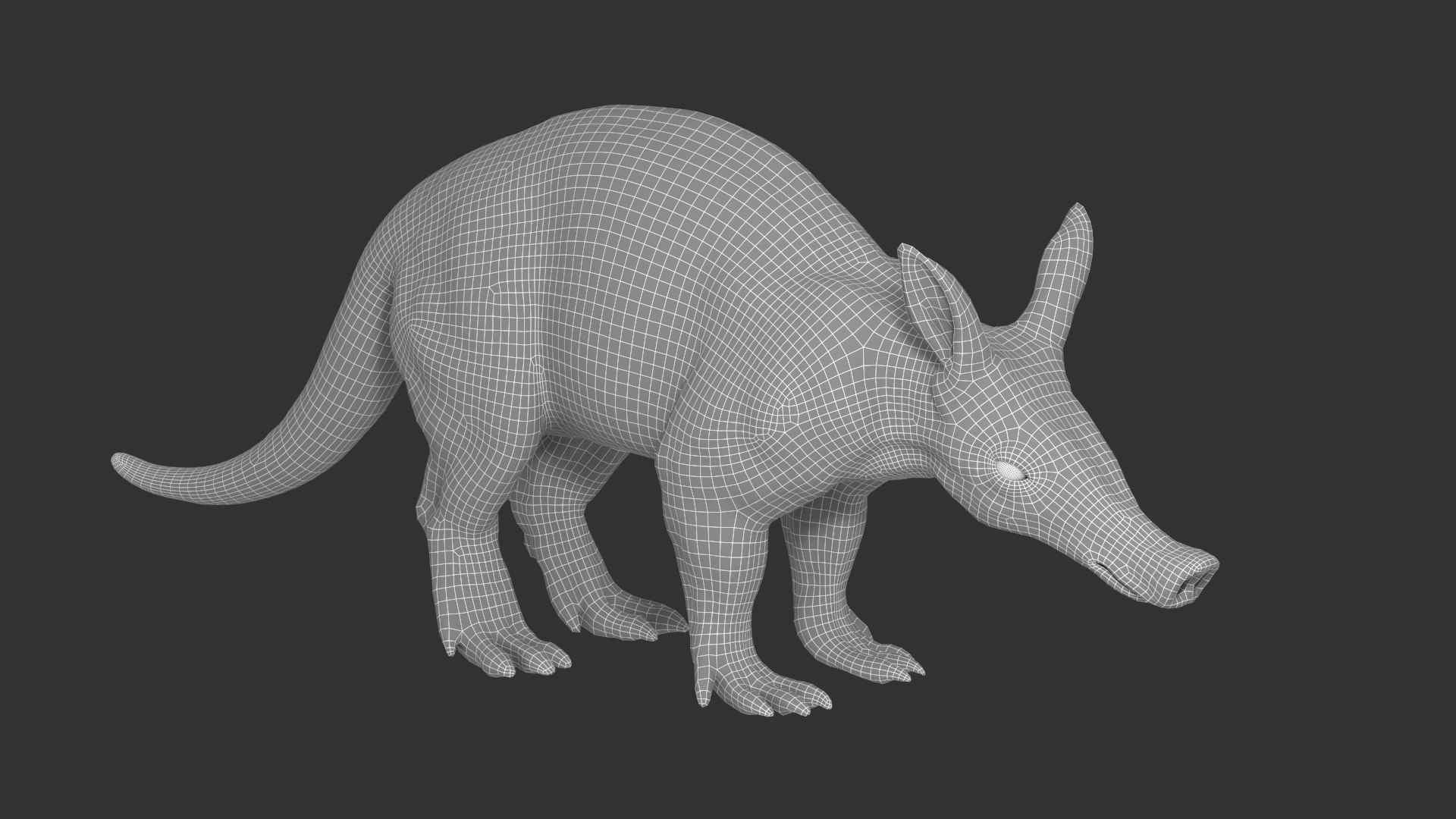 Aardvark model https://p.turbosquid.com/ts-thumb/f9/BebXQV/68/aardvark_wired01/png/1718112957/1920x1080/fit_q87/9c322571b2cae2f3997d59fbb6561bbe9a1cecb0/aardvark_wired01.jpg