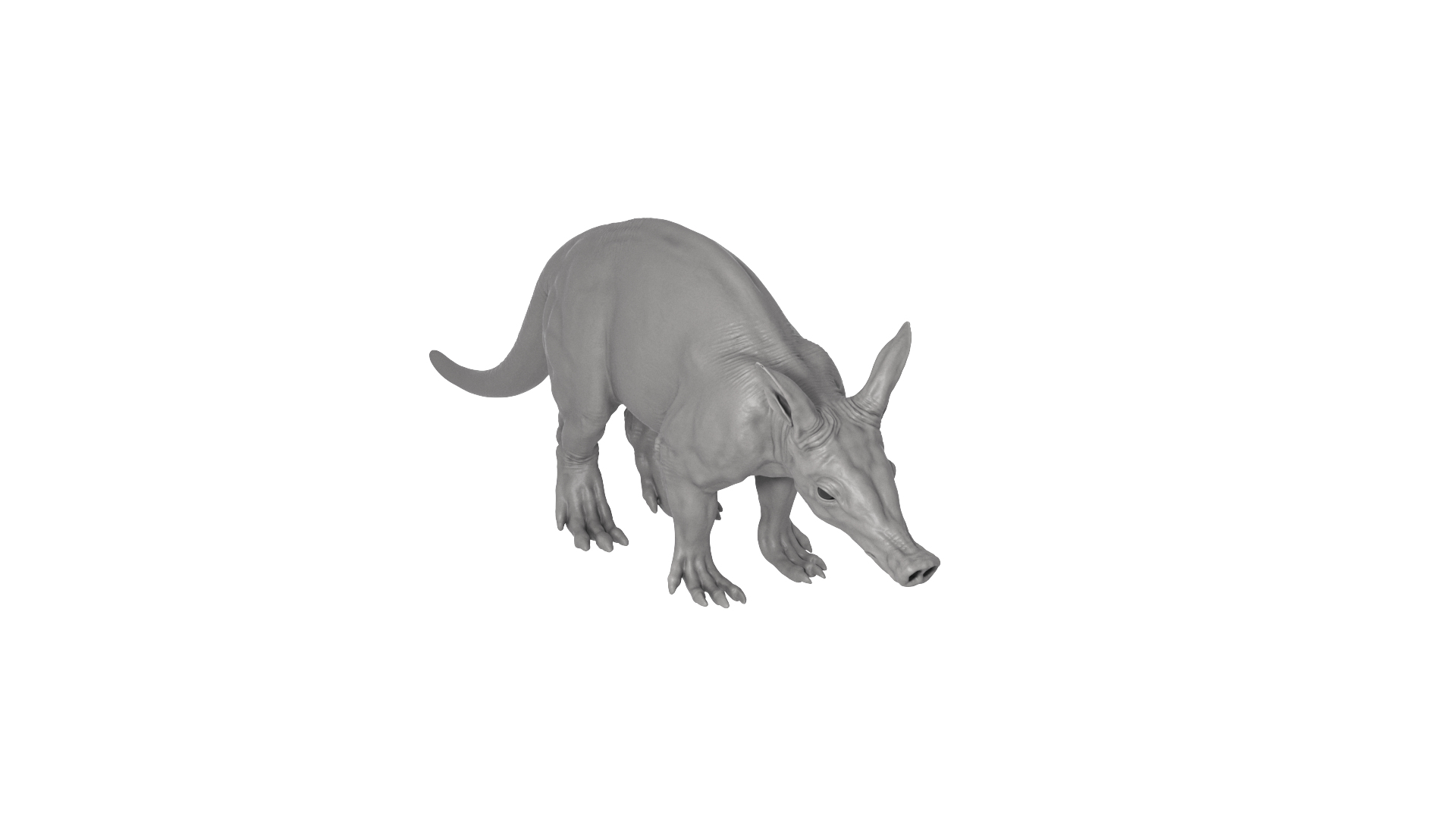 Aardvark model https://p.turbosquid.com/ts-thumb/f9/BebXQV/BK/aardvark_tta/png/1718113220/1920x1080/turn_fit_q99/882c4f2de80f615173bcaaf06facdb1ac5201124/aardvark_tta-1.jpg