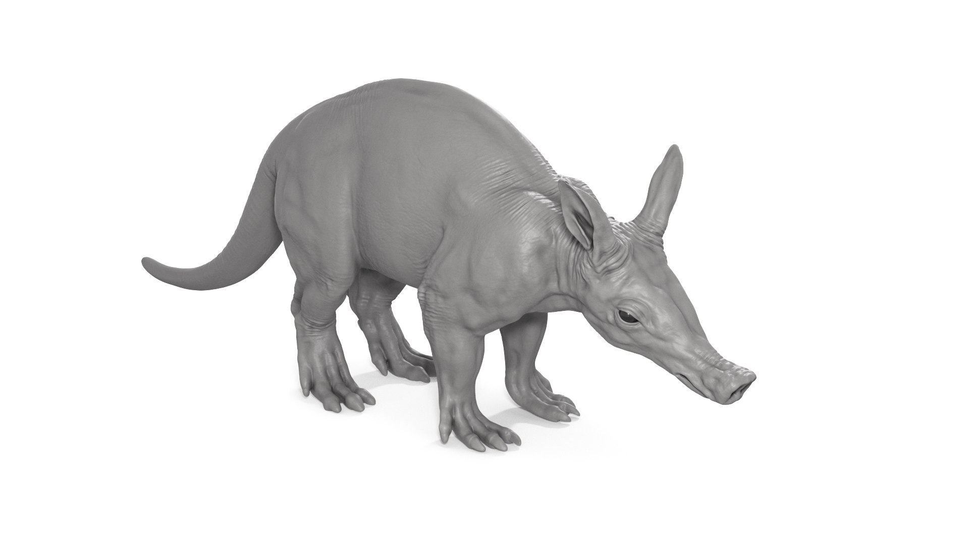 Aardvark model https://p.turbosquid.com/ts-thumb/f9/BebXQV/Hg/aardvark_cam03b/png/1718112954/1920x1080/fit_q87/496d632395e6082f38cb410f3eb4b099066737e9/aardvark_cam03b.jpg