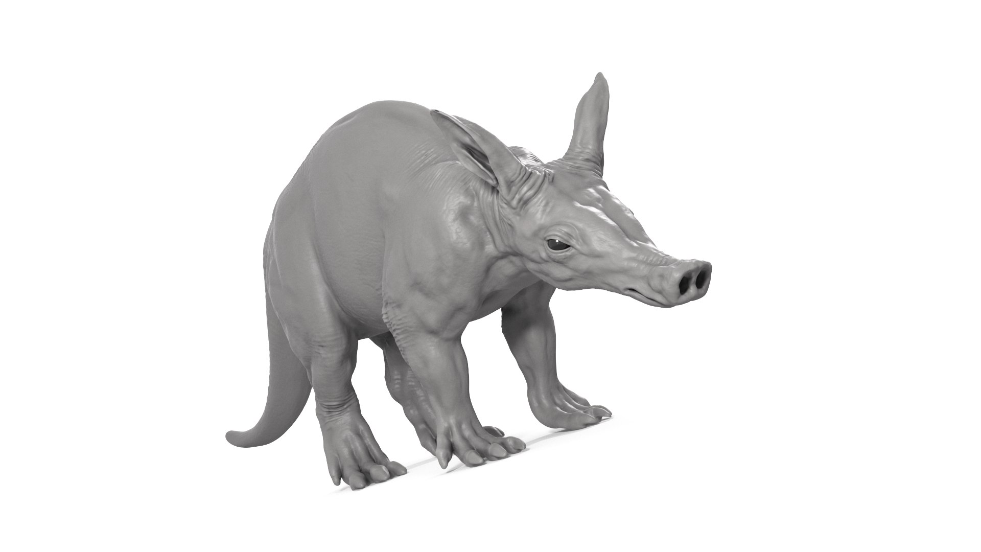Aardvark model https://p.turbosquid.com/ts-thumb/f9/BebXQV/IO/aardvark_cam07/png/1718112955/1920x1080/fit_q87/ed89d33fdefeec244662a863289f9ed1b337a95f/aardvark_cam07.jpg
