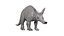 Aardvark