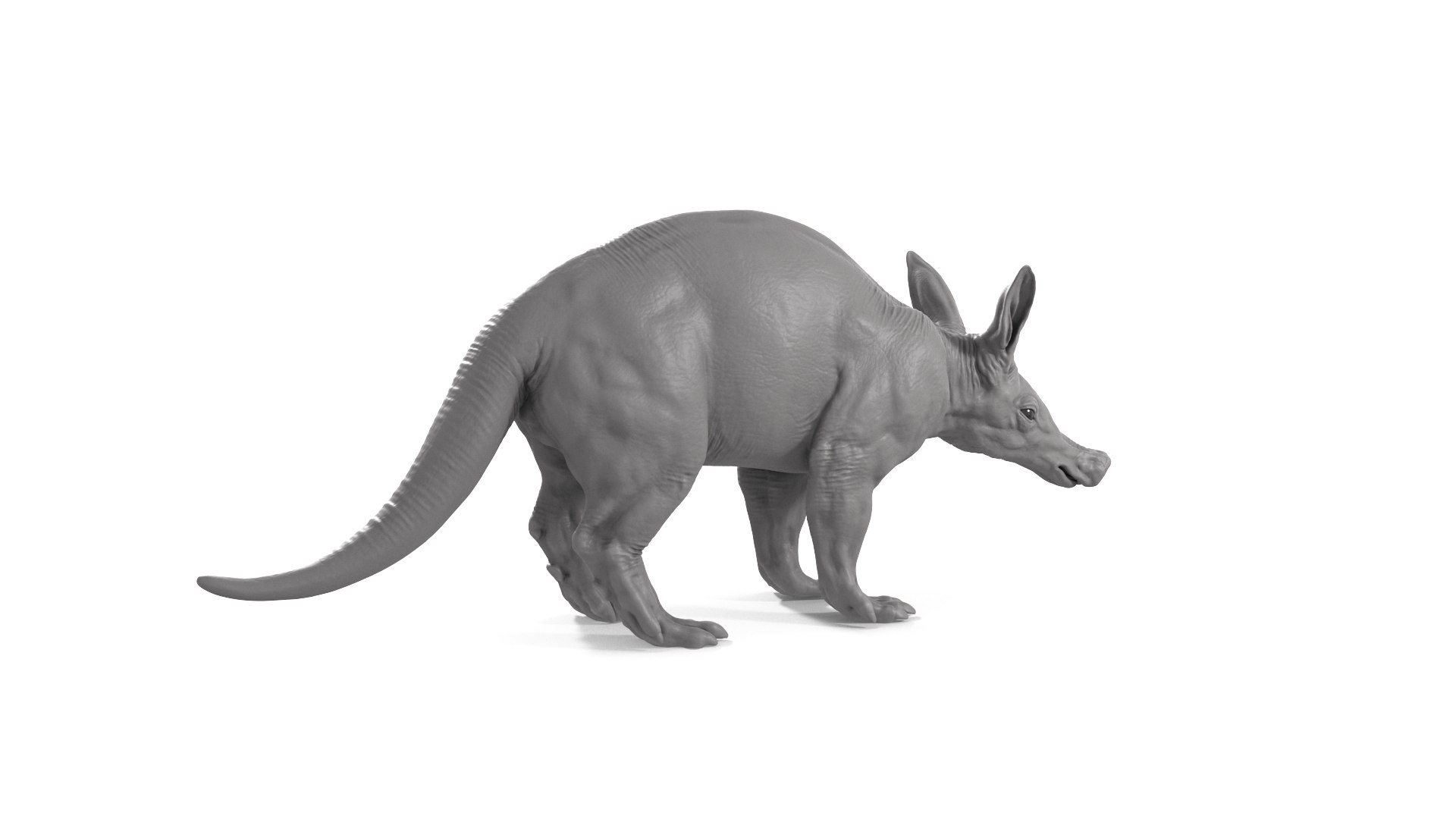 Aardvark model https://p.turbosquid.com/ts-thumb/f9/BebXQV/Po/aardvark_cam05/png/1718112954/1920x1080/fit_q87/7c9fea721c4b80287abccb3ca149c1d86031dd5e/aardvark_cam05.jpg