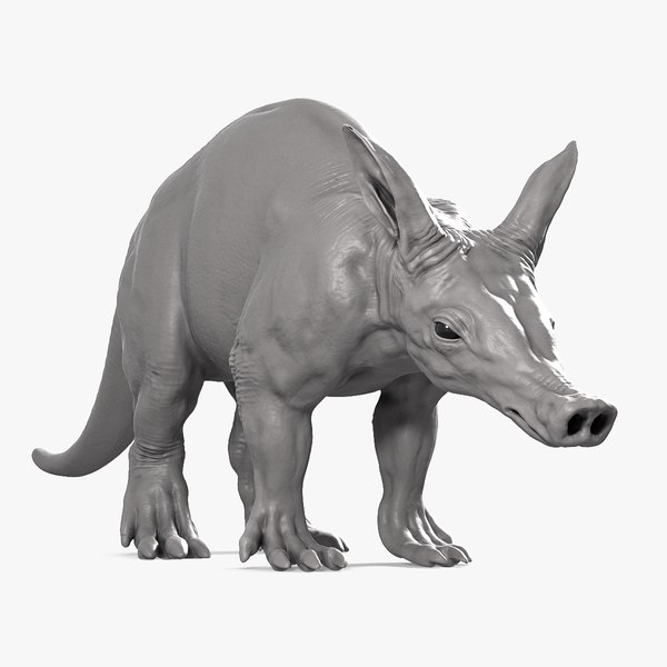 Aardvark model