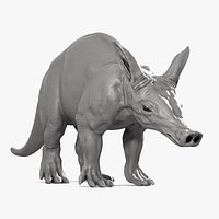 Aardvark