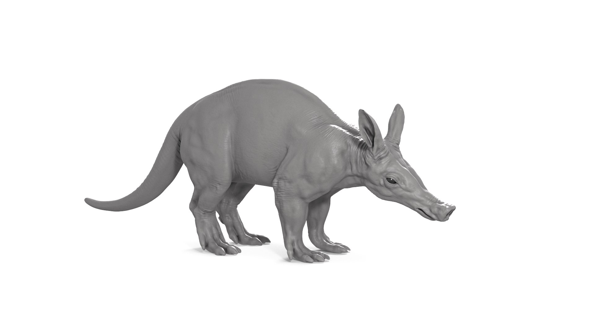 Aardvark model https://p.turbosquid.com/ts-thumb/f9/BebXQV/S1/aardvark_cam04/png/1718113789/1920x1080/fit_q87/e7fb8b422e4a01afc3dd4b8d0b757c3702cc9621/aardvark_cam04.jpg