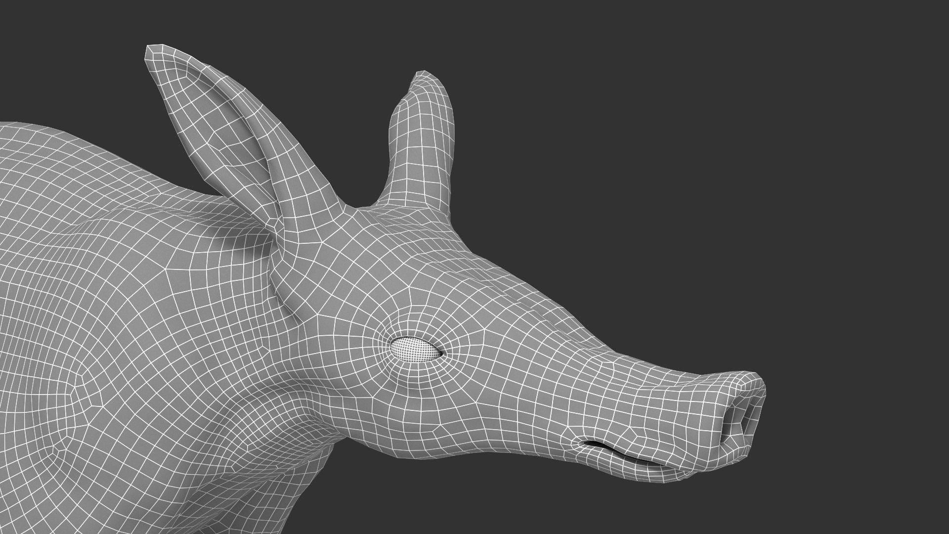 Aardvark model https://p.turbosquid.com/ts-thumb/f9/BebXQV/Yo/aardvark_wired05/png/1718112959/1920x1080/fit_q87/926501dce9a0444d0c7a0dfd01b5aab67b3ab8ef/aardvark_wired05.jpg