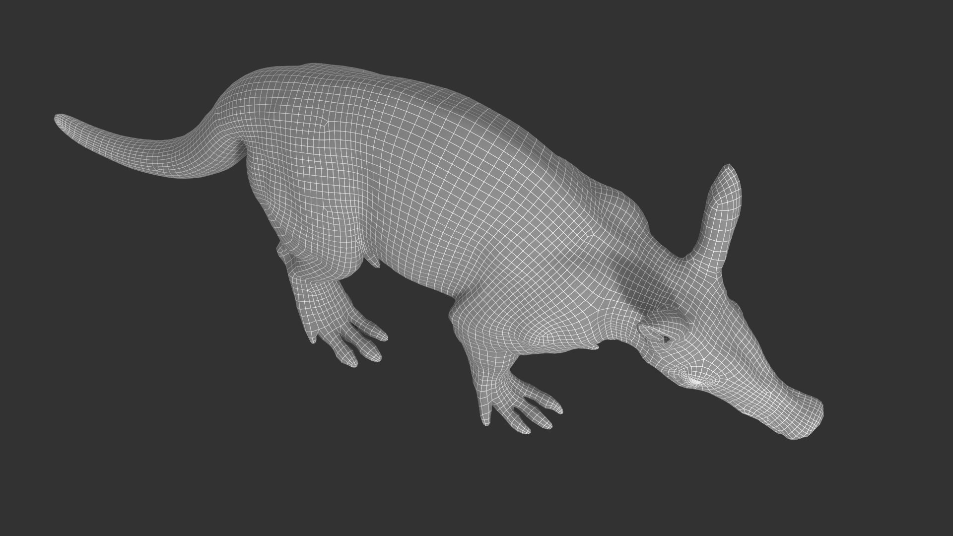 Aardvark model https://p.turbosquid.com/ts-thumb/f9/BebXQV/jr/aardvark_wired04/png/1718112958/1920x1080/fit_q87/e342d5a69ec643268b5300cff16489ce68fe73c7/aardvark_wired04.jpg