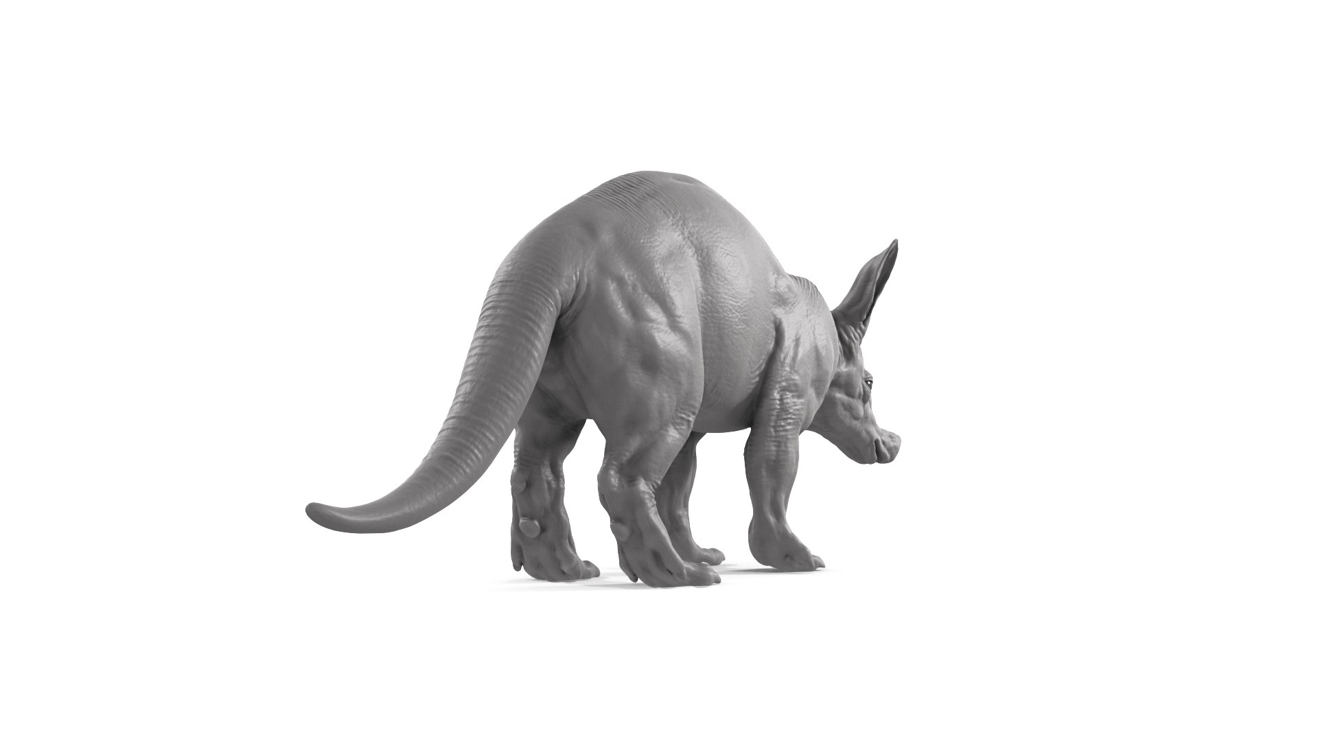 Aardvark model https://p.turbosquid.com/ts-thumb/f9/BebXQV/lP/aardvark_cam06/png/1718112955/1920x1080/fit_q87/e7871eada7048a9c72840a6b4528d34ce443ce6c/aardvark_cam06.jpg