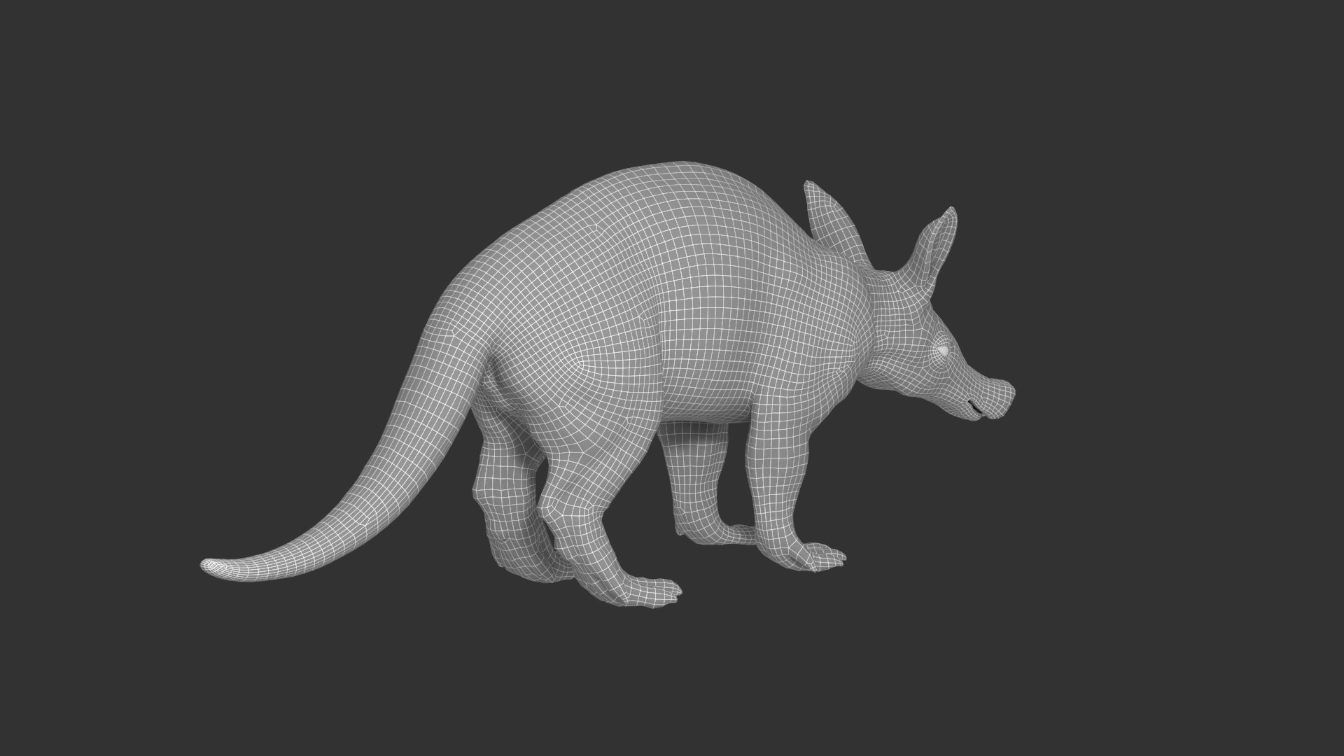 Aardvark model https://p.turbosquid.com/ts-thumb/f9/BebXQV/pE/aardvark_wired02/png/1718112957/1920x1080/fit_q87/55605221e5427ce2140f077d9f9ce9dab703736b/aardvark_wired02.jpg