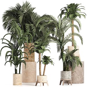 palm tree plant pot 3D