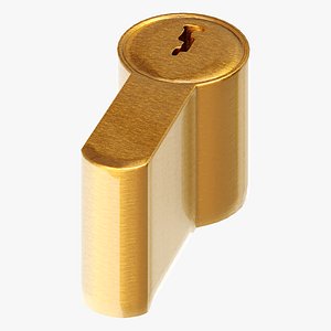 Lock Cylinder Larva Brass Brushed