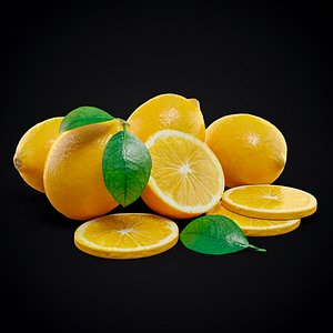 lemon fruit set 3D model