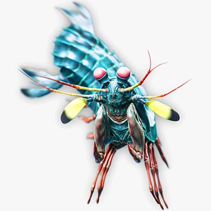3D Mantis Shrimp - Rex Rainbow Peacock - Underwater Monster - Crustacean Creature - 52