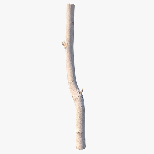 3D Twig Scanned 16