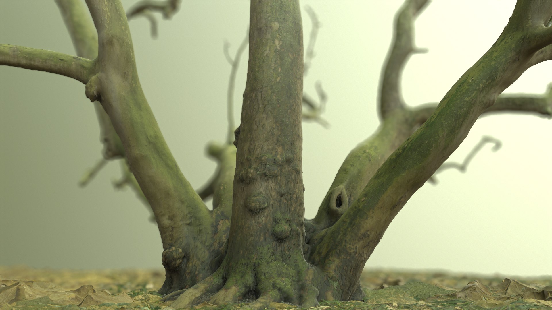 scanned tree photorealistic 3d model