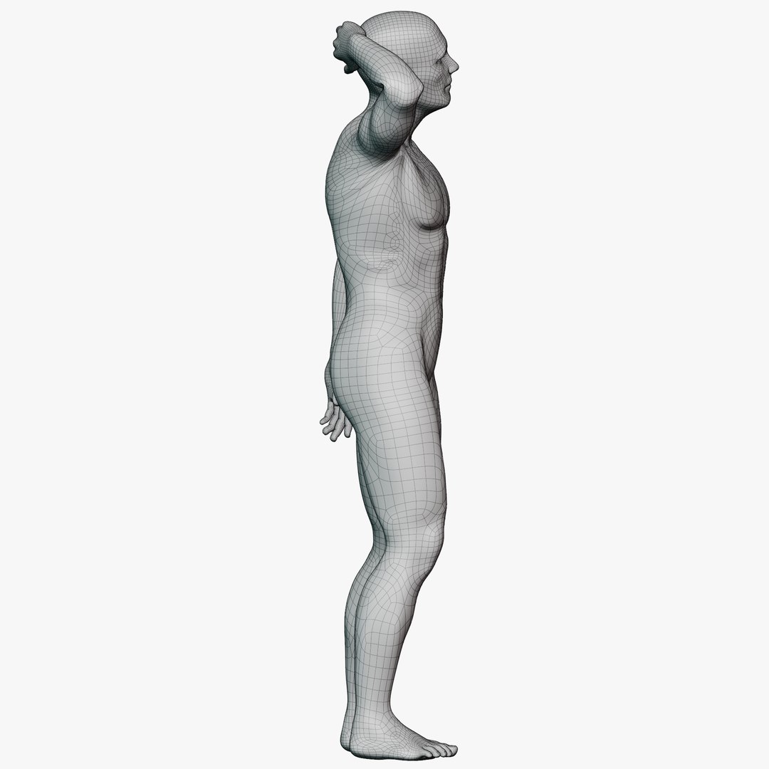 Male mannequin pose 7 PBR 3D https://p.turbosquid.com/ts-thumb/f9/lcYphm/9j/wireallmale0728/png/1771361215/1920x1080/fit_q87/da20d418d7e9496d50a8e4ea31f56fd302cc7e74/wireallmale0728.jpg