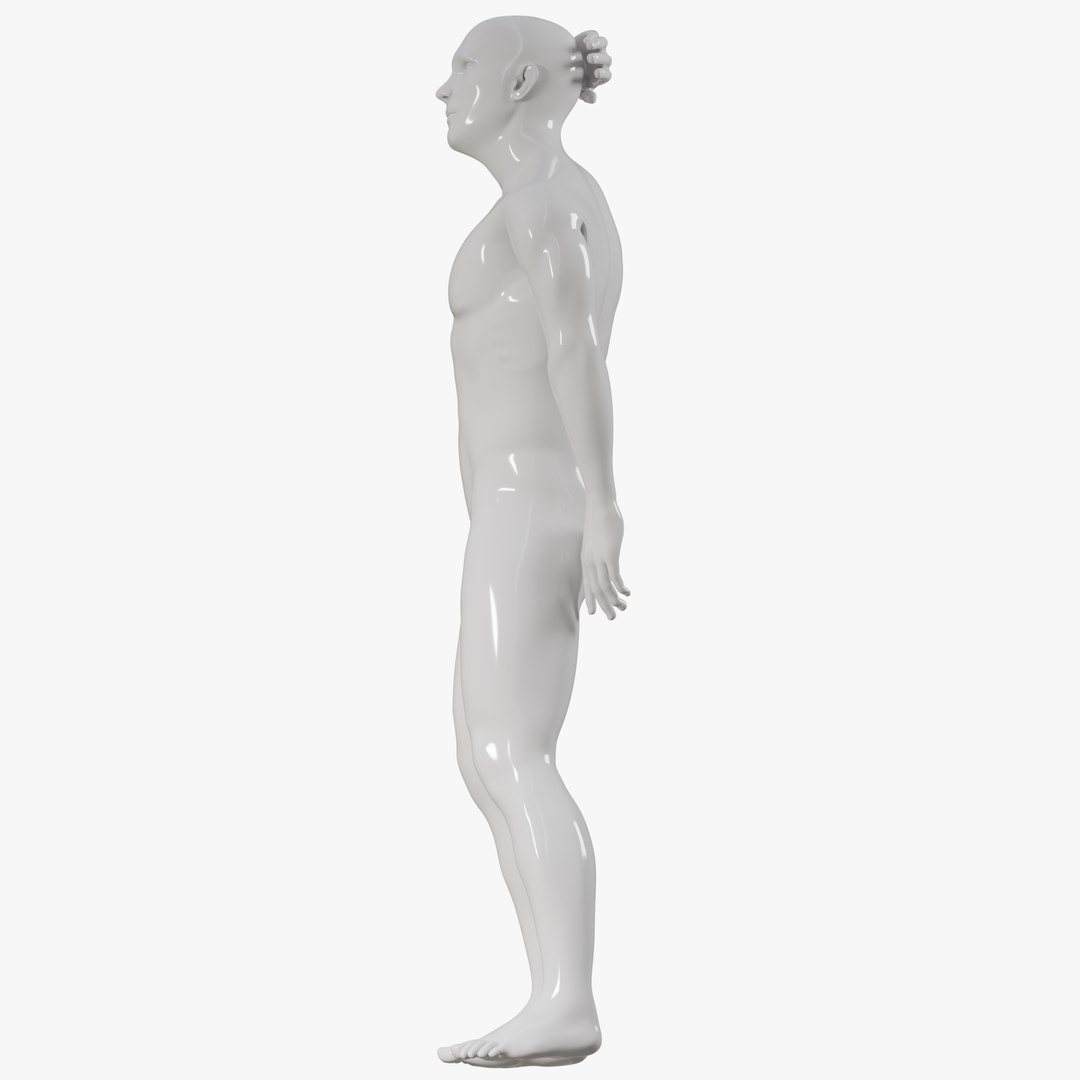Male mannequin pose 7 PBR 3D https://p.turbosquid.com/ts-thumb/f9/lcYphm/Db/allmale073/png/1771361204/1920x1080/fit_q87/4759ab787f67203973b80e716021cb2944845fd2/allmale073.jpg