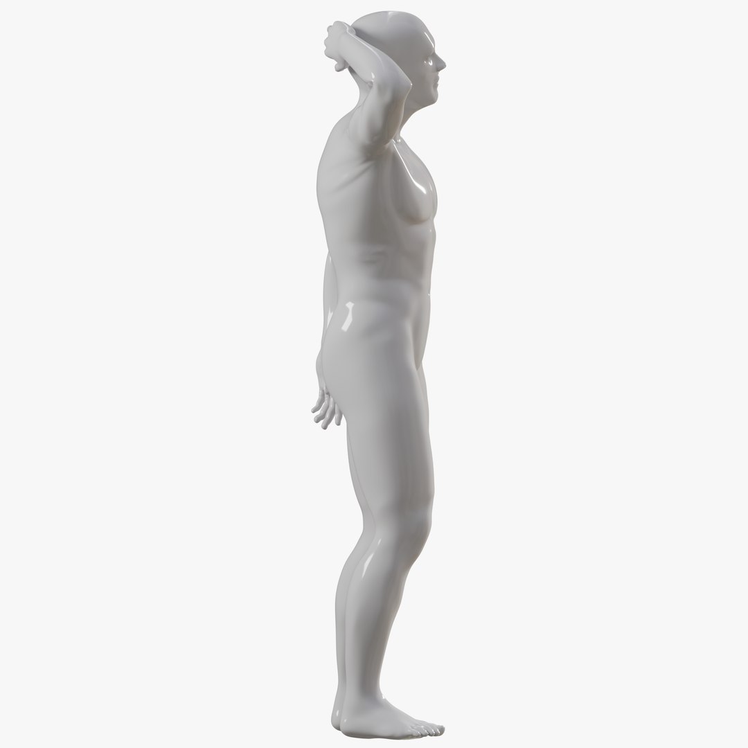 Male mannequin pose 7 PBR 3D https://p.turbosquid.com/ts-thumb/f9/lcYphm/RC/allmale077/png/1771361206/1920x1080/fit_q87/cbb3e0d56a2f698b1713041b0df53178388e5089/allmale077.jpg