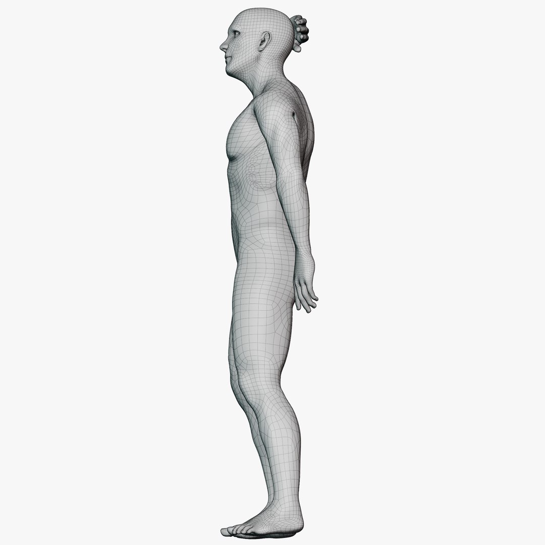 Male mannequin pose 7 PBR 3D https://p.turbosquid.com/ts-thumb/f9/lcYphm/Zn/wireallmale0710/png/1771361213/1920x1080/fit_q87/296bc6a5ff764aa69c784d014c93aff9702e24ce/wireallmale0710.jpg