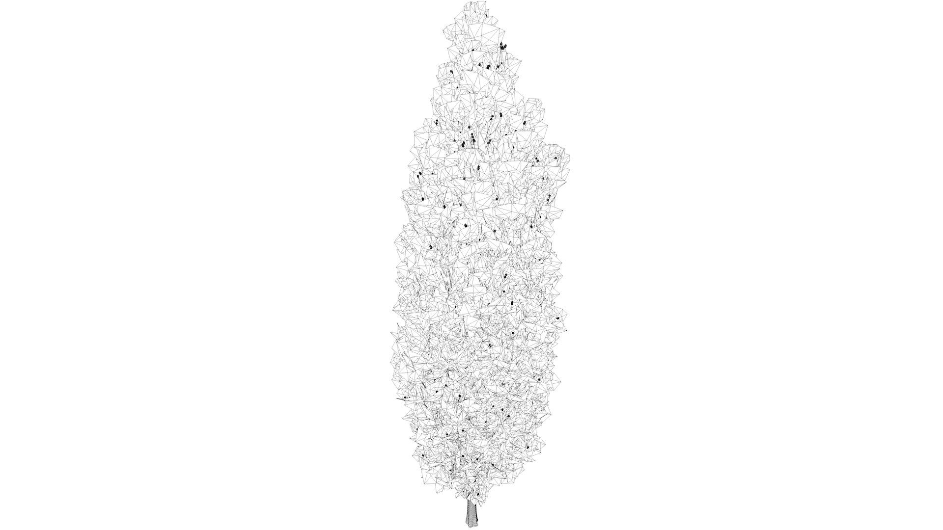 3D Italian Cypress Tree - 07 - https://p.turbosquid.com/ts-thumb/f9/mGpjhz/zn/italiancypress_high31/png/1741787164/1920x1080/fit_q87/a1d6ff310615b54aa218acb028d71a747e8edba8/italiancypress_high31.jpg