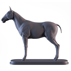 3D Horse model
