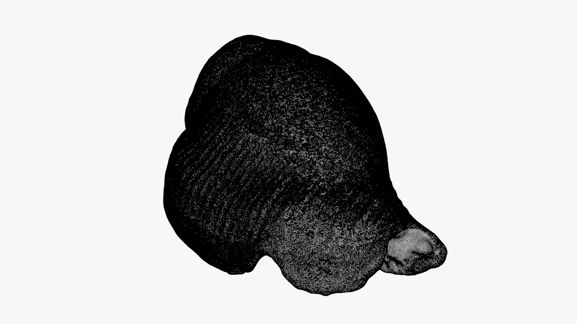 Gibberulus Gibberulus - Raw Scan 3D model https://p.turbosquid.com/ts-thumb/fA/1nxqBZ/1q/gibberulusgibberulus_d0011/png/1761644750/1920x1080/fit_q87/4b3dad99a6f2b505d9fc8c432accb3912c99f491/gibberulusgibberulus_d0011.jpg