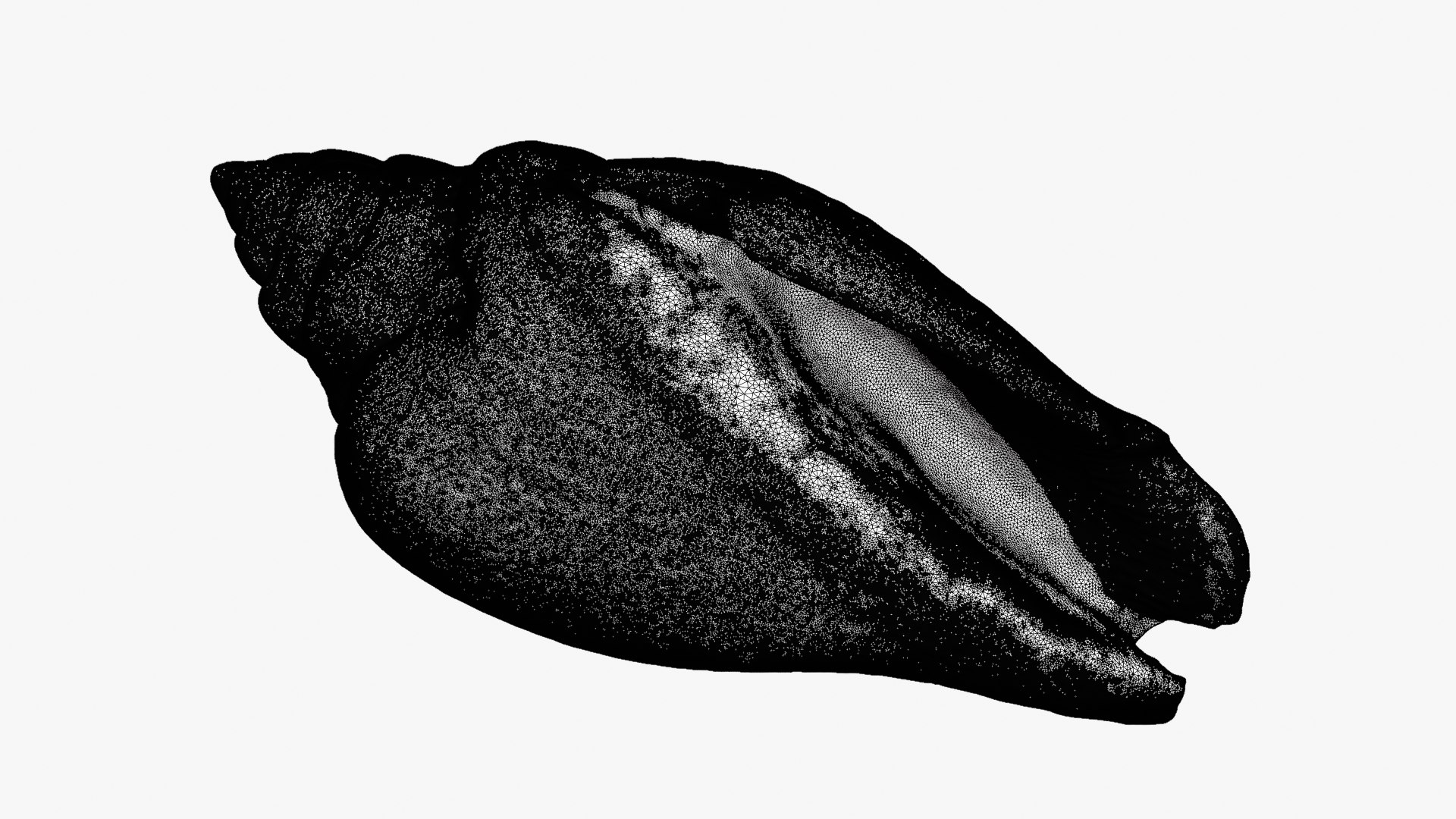 Gibberulus Gibberulus - Raw Scan 3D model https://p.turbosquid.com/ts-thumb/fA/1nxqBZ/Oc/gibberulusgibberulus_d0000/png/1761644750/1920x1080/fit_q87/0310f1c38f86f7f0a0d064943d1b9c13a2df2946/gibberulusgibberulus_d0000.jpg