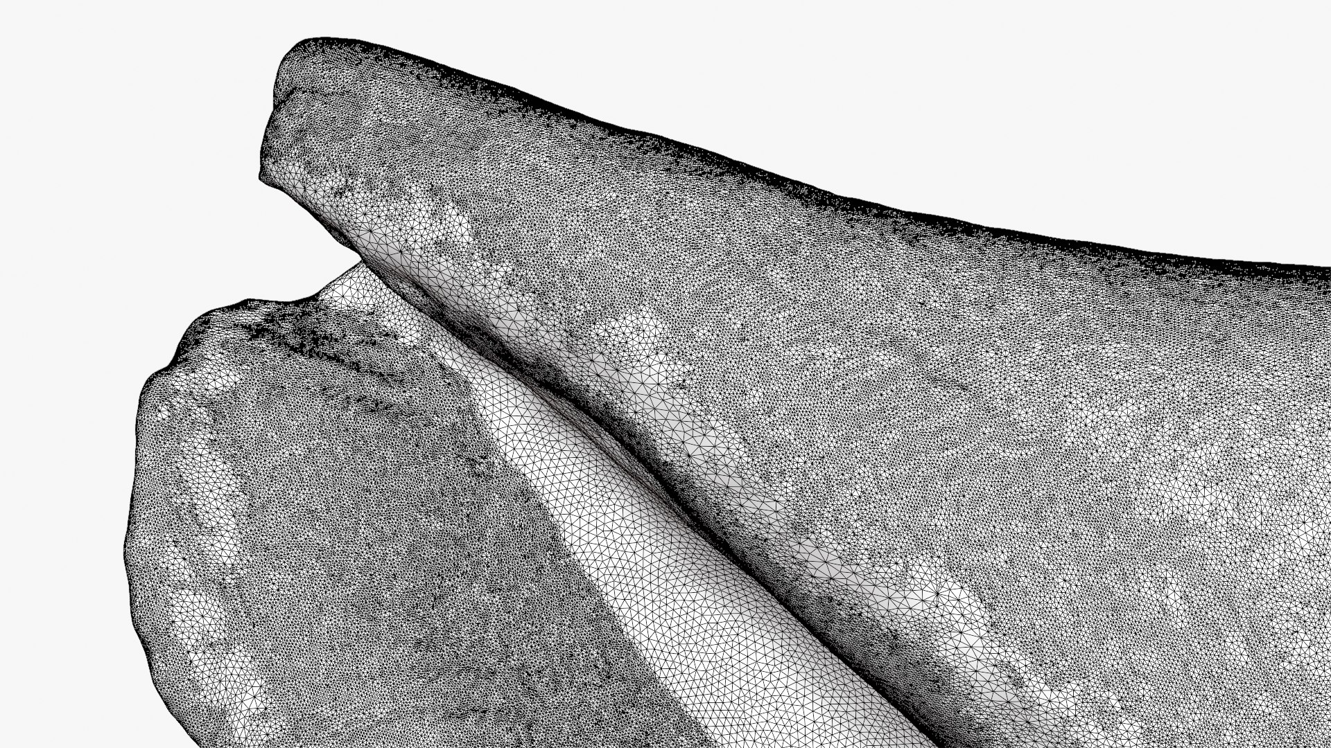 Gibberulus Gibberulus - Raw Scan 3D model https://p.turbosquid.com/ts-thumb/fA/1nxqBZ/Uz/gibberulusgibberulus_d0013/png/1761644753/1920x1080/fit_q87/7b9cf9de464ae010c279e5491511132ff830912a/gibberulusgibberulus_d0013.jpg