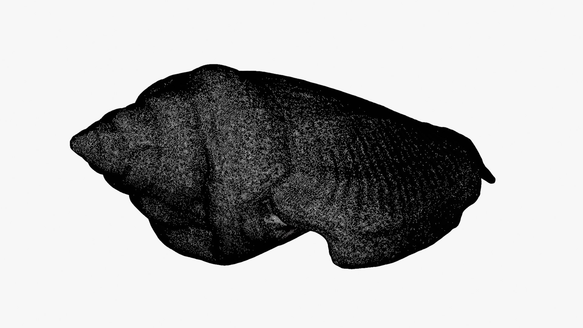 Gibberulus Gibberulus - Raw Scan 3D model https://p.turbosquid.com/ts-thumb/fA/1nxqBZ/aS/gibberulusgibberulus_d0009/png/1761644750/1920x1080/fit_q87/197a47707de3cce5fc7a718f5ee4d0b631b352bc/gibberulusgibberulus_d0009.jpg