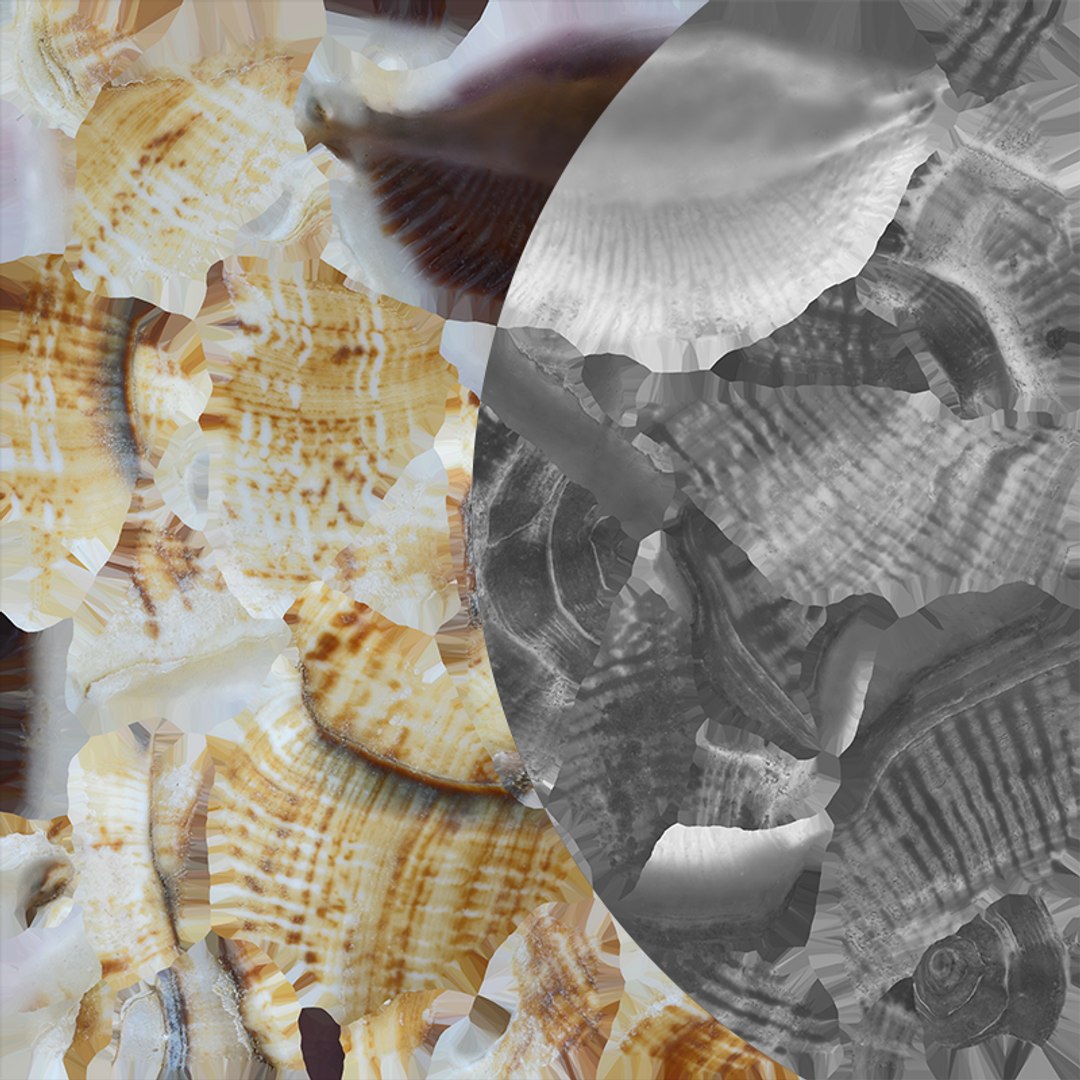 Gibberulus Gibberulus - Raw Scan 3D model https://p.turbosquid.com/ts-thumb/fA/1nxqBZ/eK/gibberulusgibberulus_e0005/png/1761644754/1920x1080/fit_q87/0efdea8cbff0c14d9f2ff3cb64b0dc9b6b178c66/gibberulusgibberulus_e0005.jpg