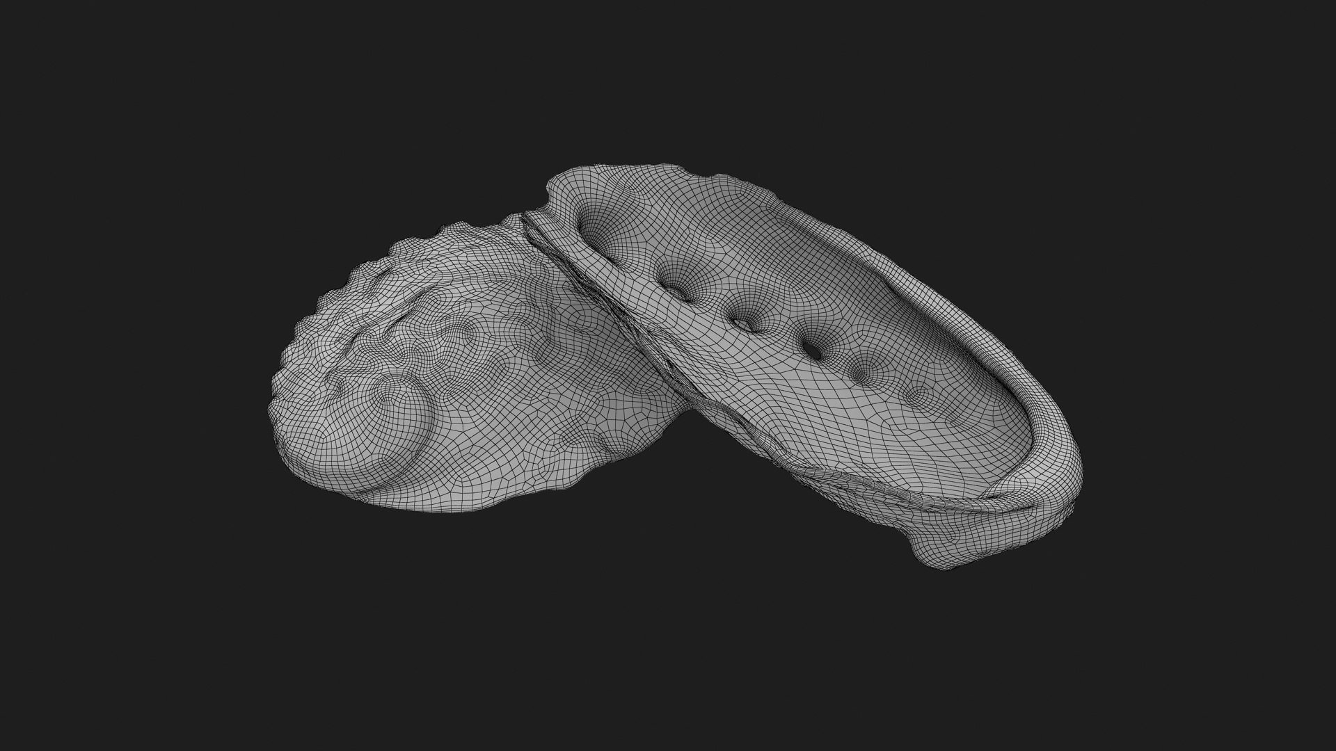 3D Abalone Shell 01 Pose2 Model - TurboSquid 2328381