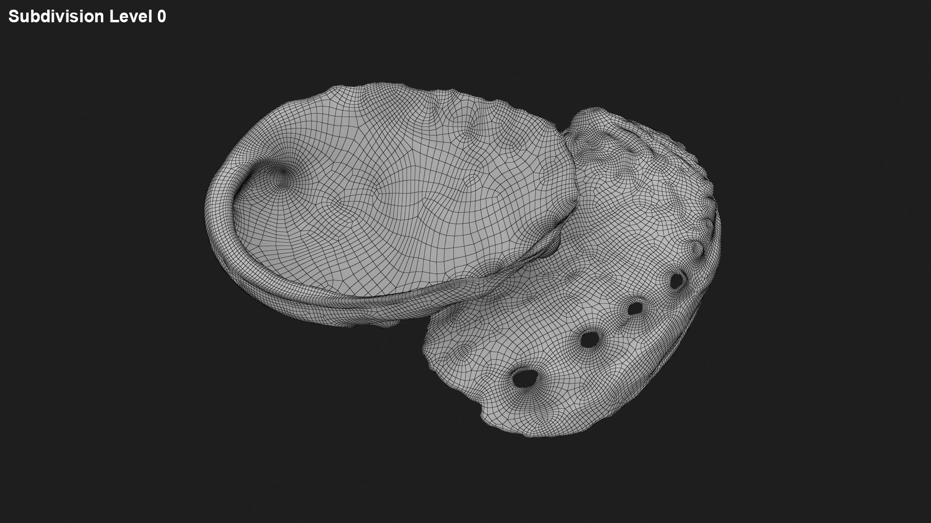 3D Abalone Shell 01 Pose2 Model - TurboSquid 2328381