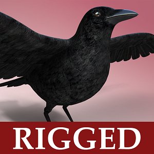 3ds max crow rigged